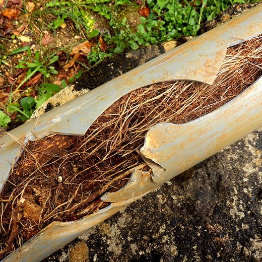 The Drain & Sewer Professionals In Torrensville