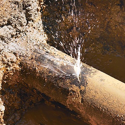 Same Day Torrensville Plumbers